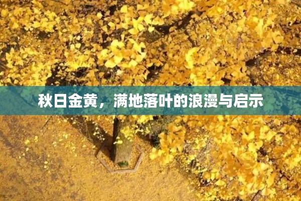 鸟啼花落