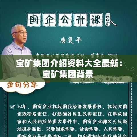 宝矿集团介绍资料大全最新：宝矿集团背景 