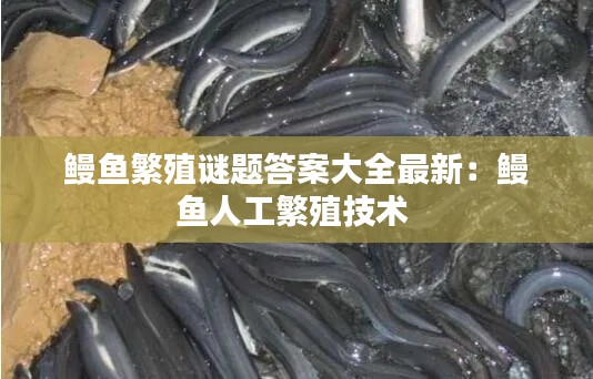 移罇就教 第2页