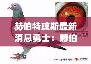 赫伯特琼斯最新消息勇士：赫伯特超级种鸽图片 