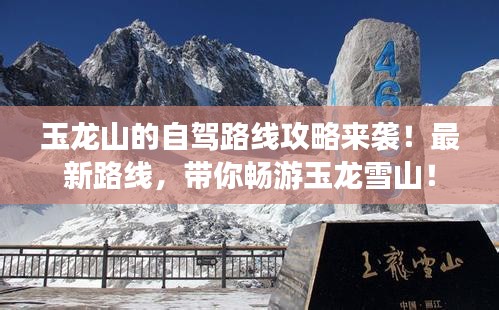 张口结舌 第2页