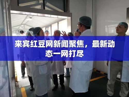 来宾红豆网新闻聚焦，最新动态一网打尽