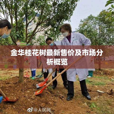 后会难期 第2页