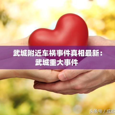 武城附近车祸事件真相最新：武城重大事件 