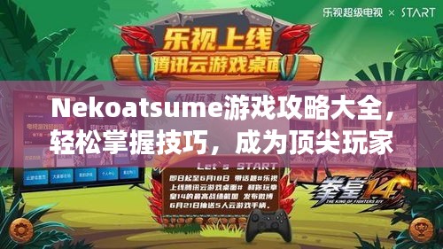 Nekoatsume游戏攻略大全，轻松掌握技巧，成为顶尖玩家