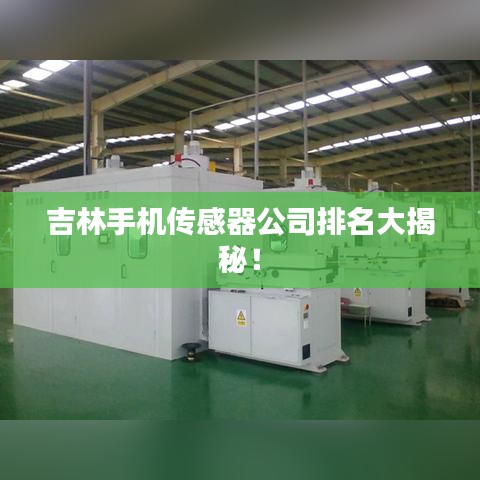吉林手机传感器公司排名大揭秘！