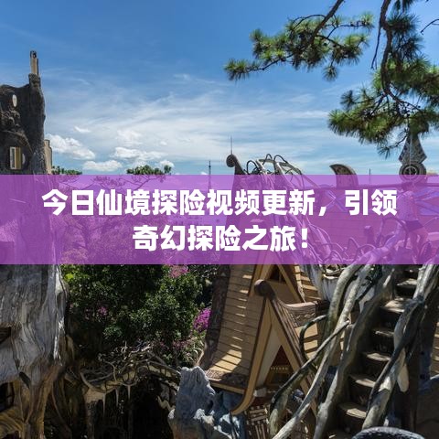 今日仙境探险视频更新，引领奇幻探险之旅！