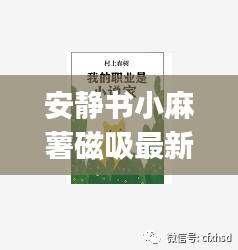 安静书小麻薯磁吸最新：maisy 安静书 