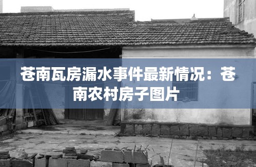 苍南瓦房漏水事件最新情况：苍南农村房子图片 