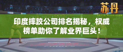 印度摔跤公司排名揭秘，权威榜单助你了解业界巨头！
