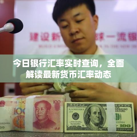 今日银行汇率实时查询，全面解读最新货币汇率动态