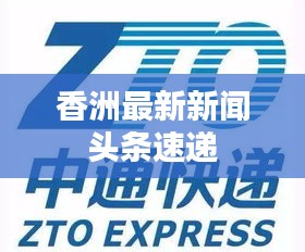香洲最新新闻头条速递