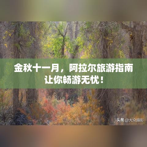 第733页