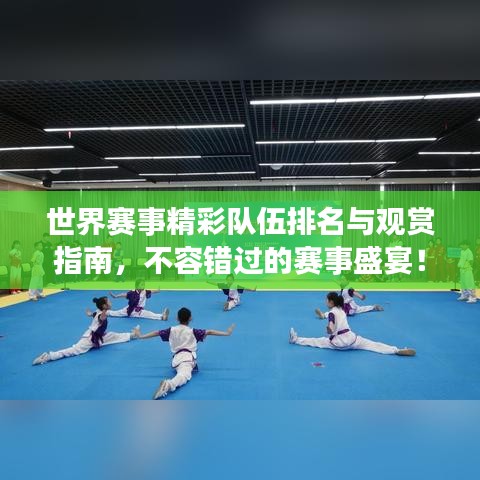 世界赛事精彩队伍排名与观赏指南，不容错过的赛事盛宴！
