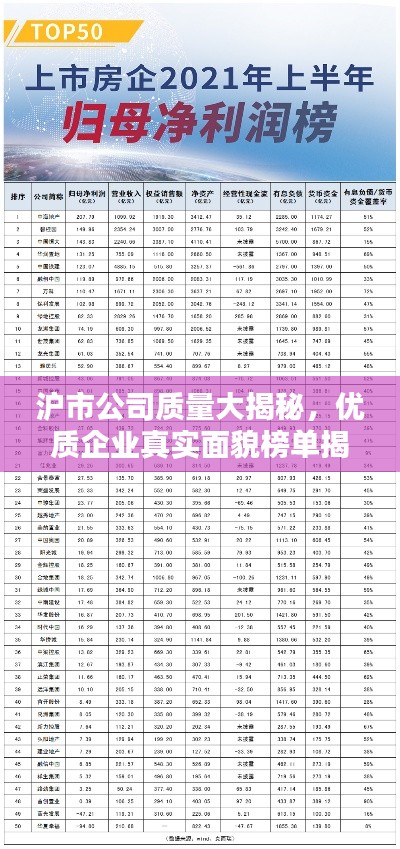 沪市公司质量大揭秘，优质企业真实面貌榜单揭晓！