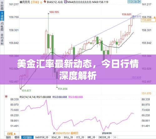 鸟入樊笼 第2页