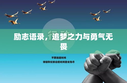 励志语录，追梦之力与勇气无畏