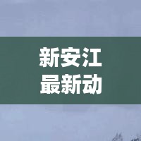 新安江最新动态速递