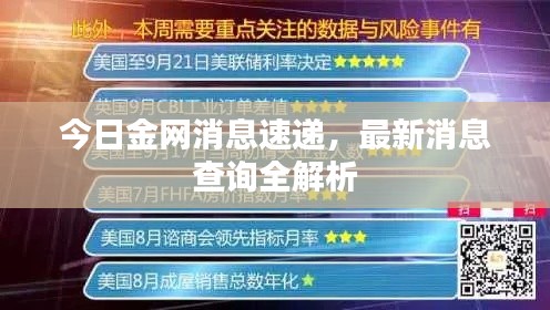 今日金网消息速递，最新消息查询全解析