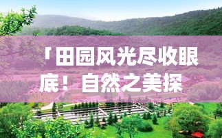 「田园风光尽收眼底！自然之美探索攻略视频带你畅游田园」