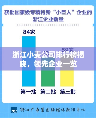 浙江小麦公司排行榜揭晓，领先企业一览