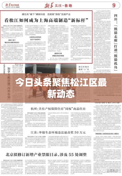 今日头条聚焦松江区最新动态