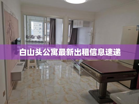 白山头公寓最新出租信息速递