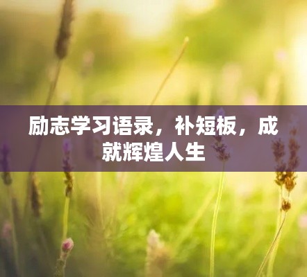 励志学习语录，补短板，成就辉煌人生