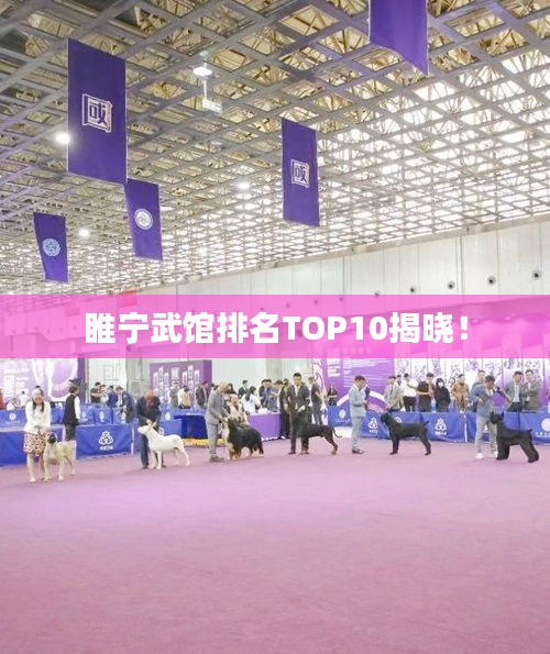 睢宁武馆排名TOP10揭晓！