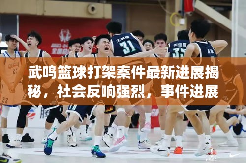武鸣篮球打架案件最新进展揭秘，社会反响强烈，事件进展引人关注