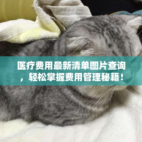 喜笑颜开 第2页