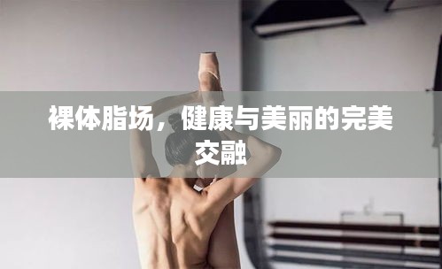 裸体脂场，健康与美丽的完美交融