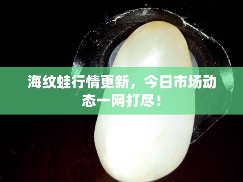 海纹蛙行情更新，今日市场动态一网打尽！