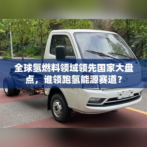 全球氢燃料领域领先国家大盘点，谁领跑氢能源赛道？