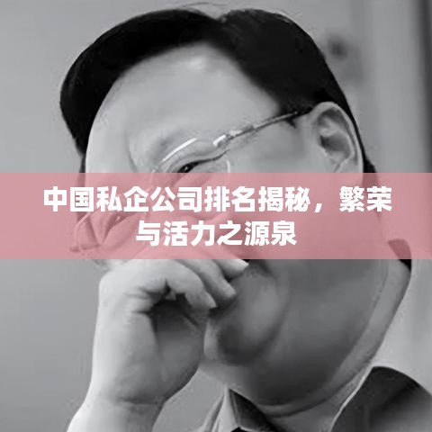 中国私企公司排名揭秘，繁荣与活力之源泉