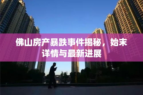 佛山房产暴跌事件揭秘，始末详情与最新进展