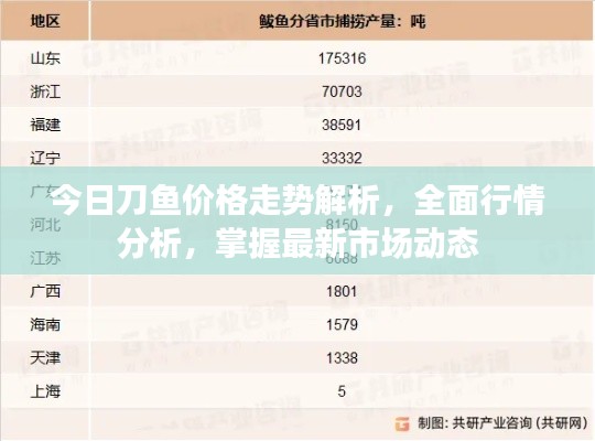 今日刀鱼价格走势解析，全面行情分析，掌握最新市场动态