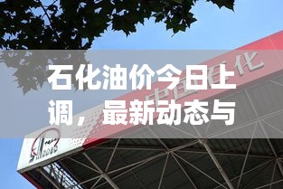 石化油价今日上调，最新动态与市场回应