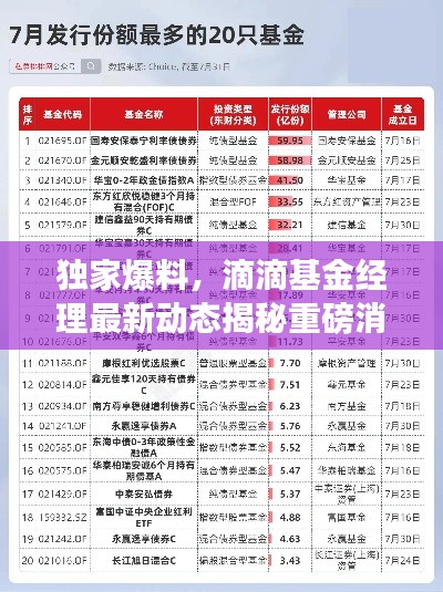 虚张声势 第2页