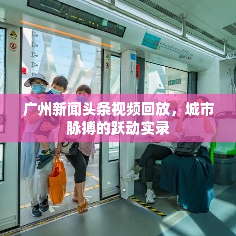 广州新闻头条视频回放，城市脉搏的跃动实录