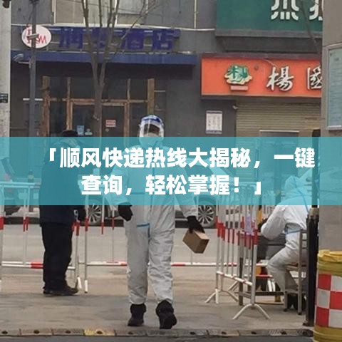 「顺风快递热线大揭秘，一键查询，轻松掌握！」
