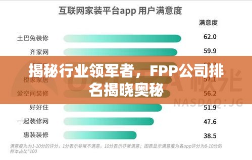 揭秘行业领军者，FPP公司排名揭晓奥秘