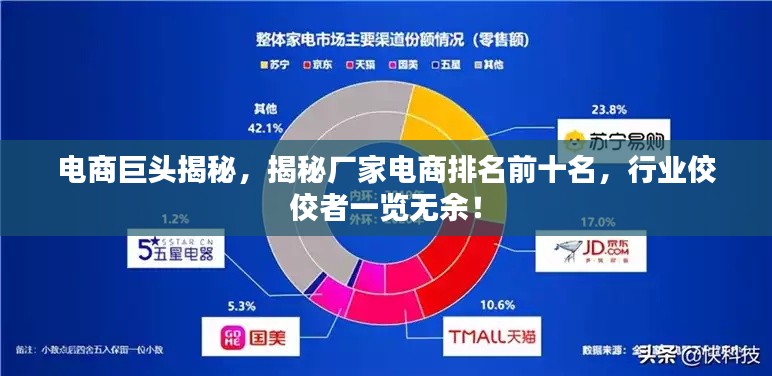 电商巨头揭秘，揭秘厂家电商排名前十名，行业佼佼者一览无余！