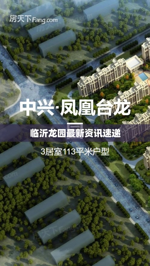 临沂龙园最新资讯速递