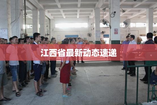 江西省最新动态速递