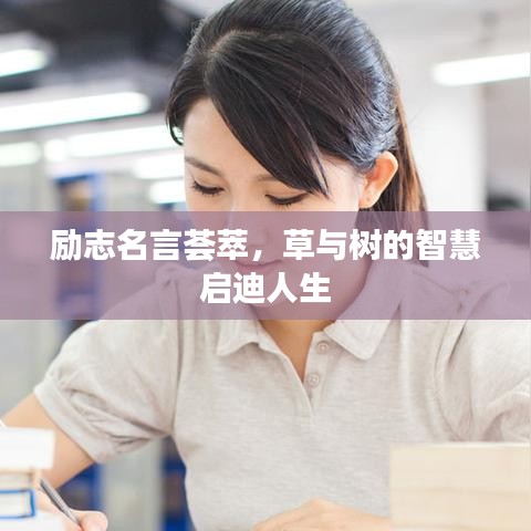 励志名言荟萃，草与树的智慧启迪人生