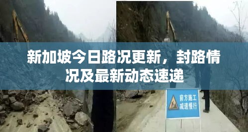新加坡今日路况更新，封路情况及最新动态速递
