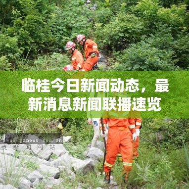 临桂今日新闻动态，最新消息新闻联播速览