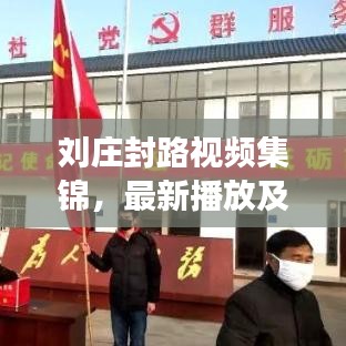 刘庄封路视频集锦，最新播放及深度解读