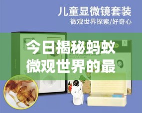 今日揭秘蚂蚁微观世界的最新科技动态，探索微观世界的科技新星